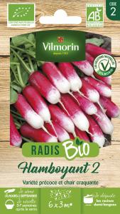 Radis Flamboyant 2 - BIO